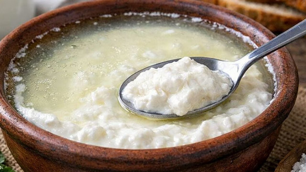 Foto - Bozuldu sanılarak dökülüyor: Meğer mineral ve protein deposuymuş!