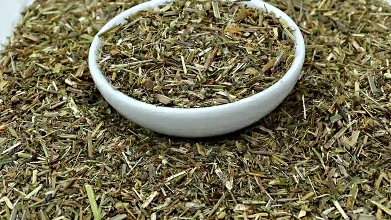 Foto - Yoğurt otu: İbrahim Saraçoğlu bu yöntemi yıllardır tavsiye ediyor! Bel kemiği ağrılarını sıfırlıyor