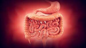 Foto - Yoğurt ve kuru dutu karıştırın, faydaları şaşırtıyor: En büyük alternatif çözümü, benzerini buldular