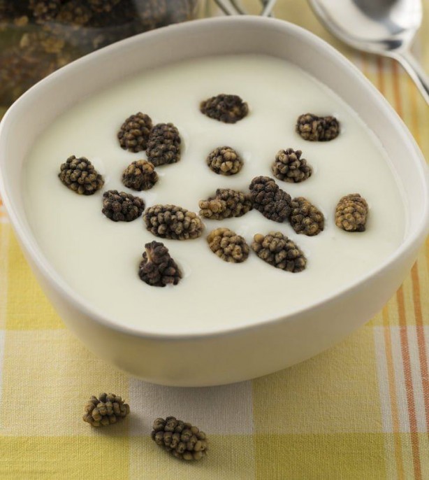 Foto - Yoğurt ve kuru dutu karıştırın, faydaları şaşırtıyor: En büyük alternatif çözümü, benzerini buldular