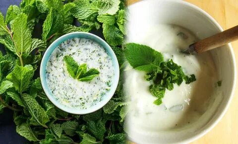 Foto - Yoğurt ve zeytinyağının mucizevi karışımı…