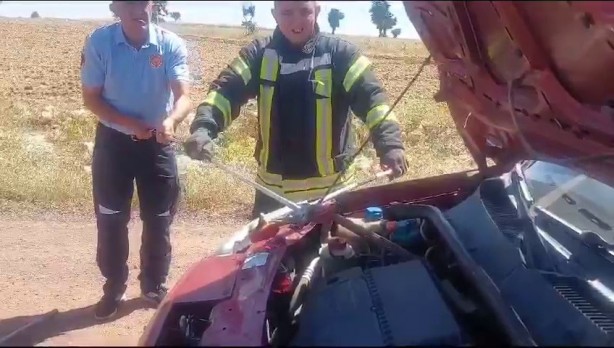 Foto - Yok artık daha neler! Aracın motorundan bakın ne çıktı