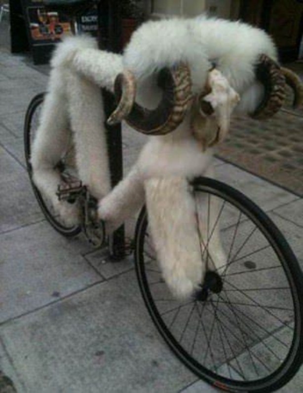 Foto - Yok artık dedirten ilginç buluşlar