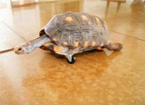 Foto - Yok artık dedirten ilginç buluşlar