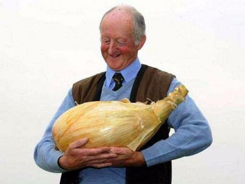 Foto - 'Yok artık' diyeceğiniz ilginç rekorlar