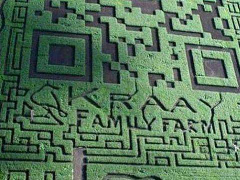 Foto - 'Yok artık' diyeceğiniz ilginç rekorlar