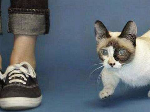 Foto - 'Yok artık' diyeceğiniz ilginç rekorlar