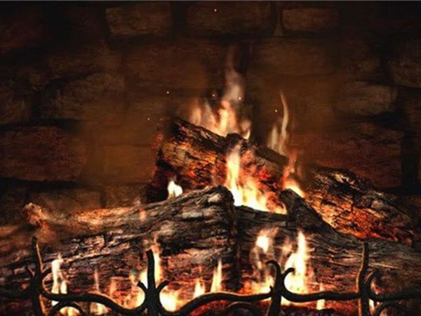 Foto - 'Yok artık' diyeceğiniz tarihin en garip vergileri