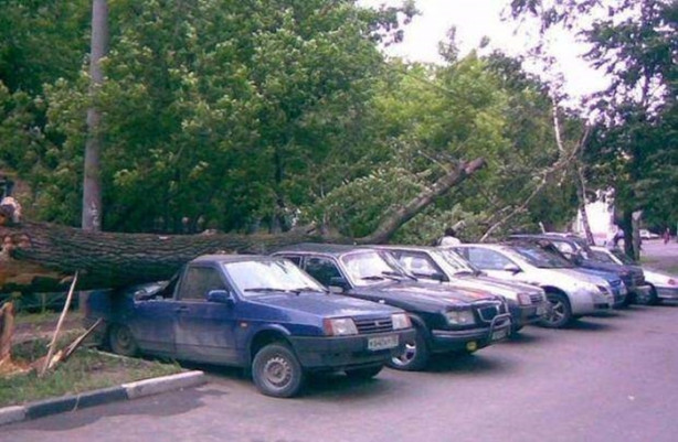 Foto - Yok artık diyeceksiniz! İşte en sıra dışı trafik kazaları...