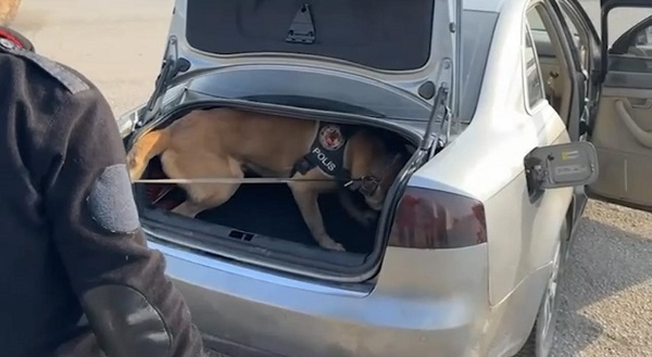 Foto - Yok artık! Yakıt deposundan çıkana bakın