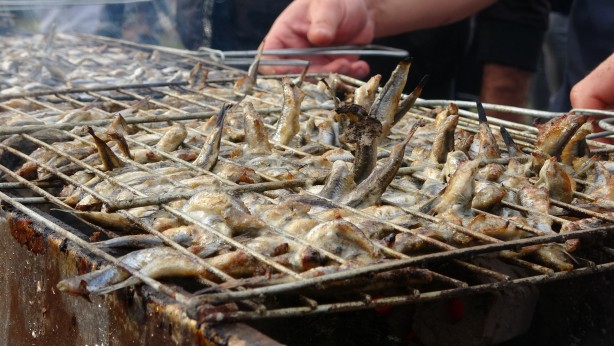 Foto - Yok böyle bir festival! Tam tamına 10 ton hamsi tüketildi! Gelen aldı giden aldı!