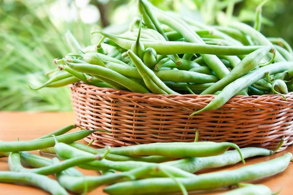 Foto - Yok böyle bir şey! Taze fasulyeden olur mu demeyin! Patates kızartmasını unutturuyor! Bakın ne işe yarıyor