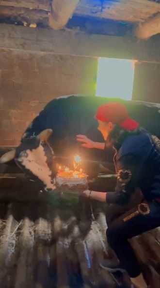 Foto - Yok böyle doğum günü kutlaması! 