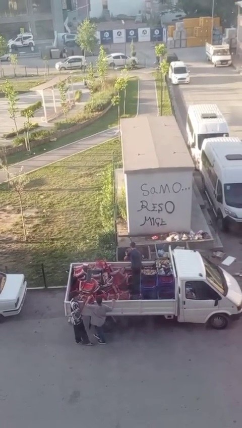 Foto - Yok böyle israf: Kilosu 100 TL çilekleri kasa kasa çöpe döktü