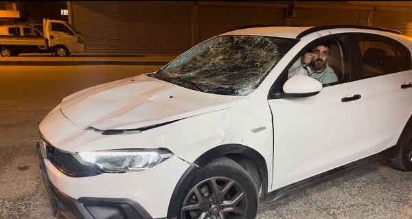 Foto - Yok böyle kaza! Seyir halindeki otomobile at çarptı