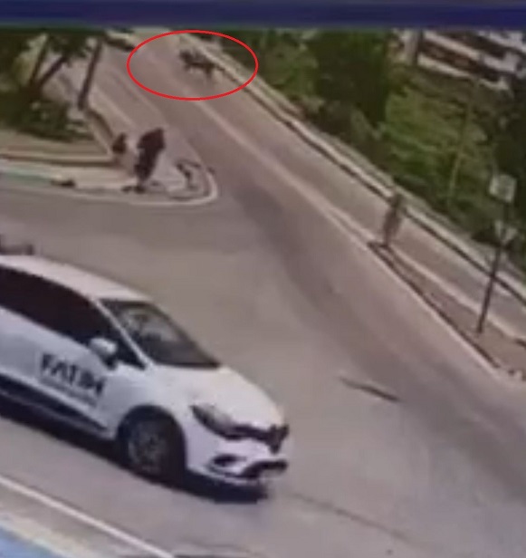 Foto - Yok böyle kaza! Seyir halindeki otomobile at çarptı