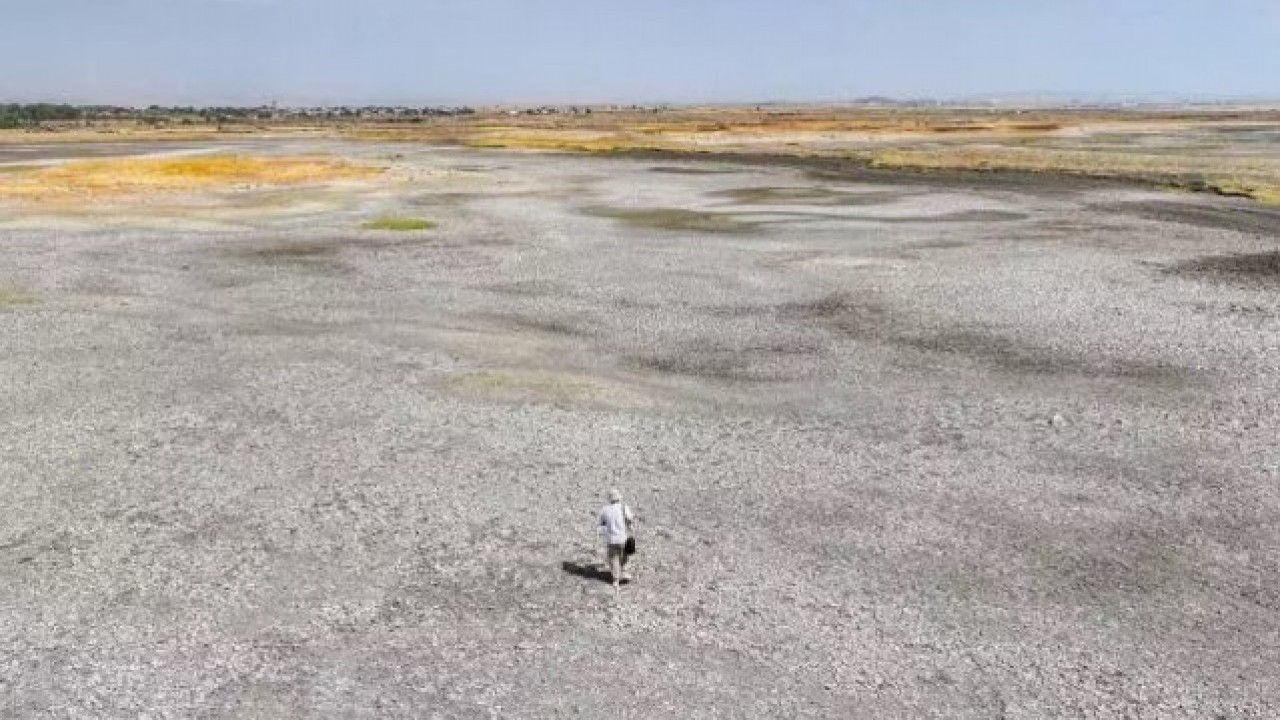 Foto - Yok olmak üzere: İki fotoğraf her şeyi anlatıyor!