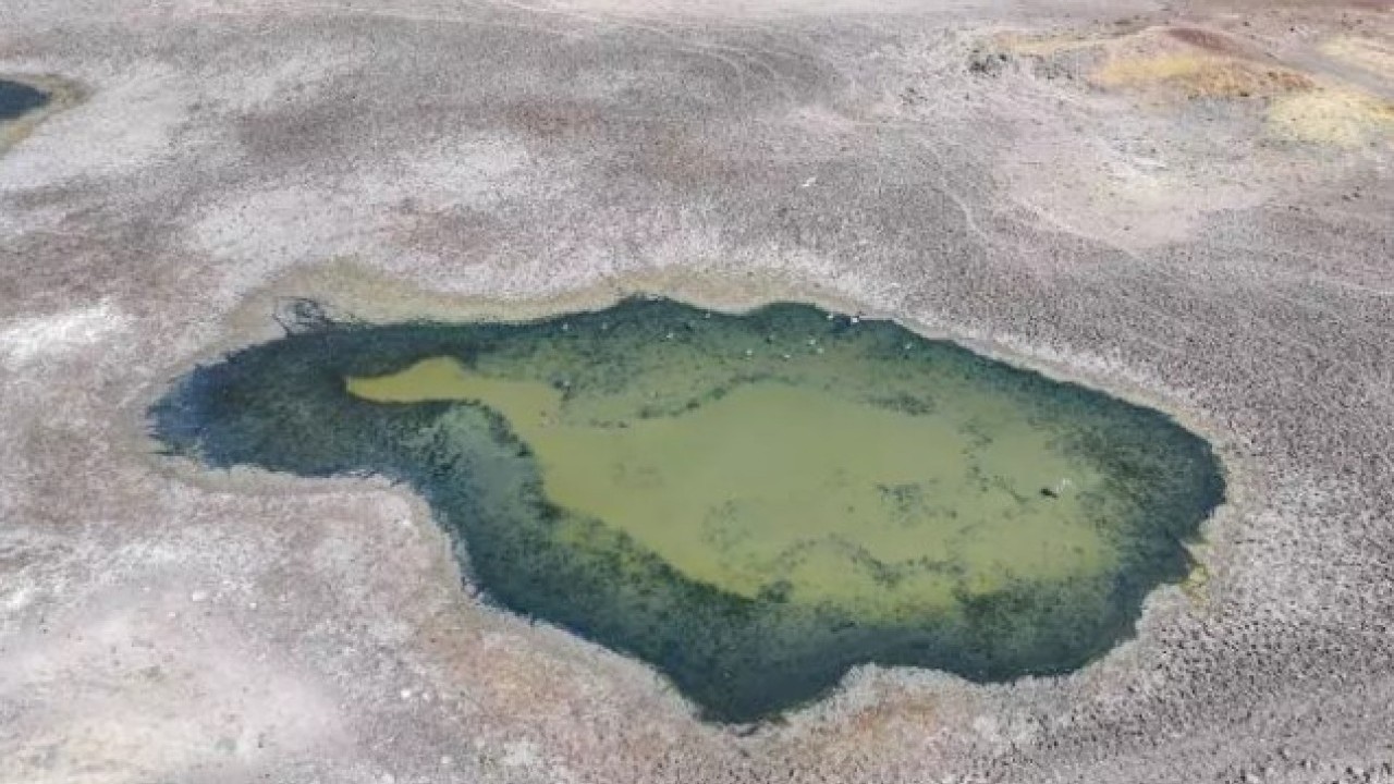 Foto - Yok olmak üzere: İki fotoğraf her şeyi anlatıyor!