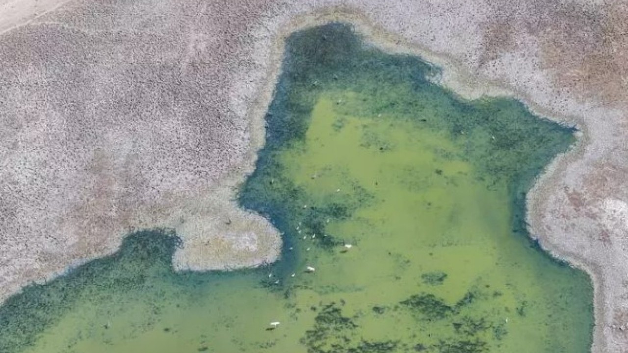 Foto - Yok olmak üzere: İki fotoğraf her şeyi anlatıyor!