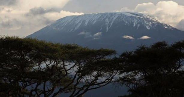 Foto - Yok olmak üzereler! Mutlaka görmelisiniz!