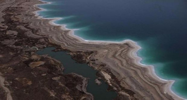 Foto - Yok olmak üzereler! Mutlaka görmelisiniz!