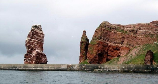 Foto - Yok olmak üzereler! Mutlaka görmelisiniz!
