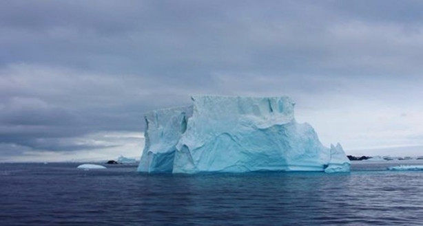 Foto - Yok olmak üzereler! Mutlaka görmelisiniz!