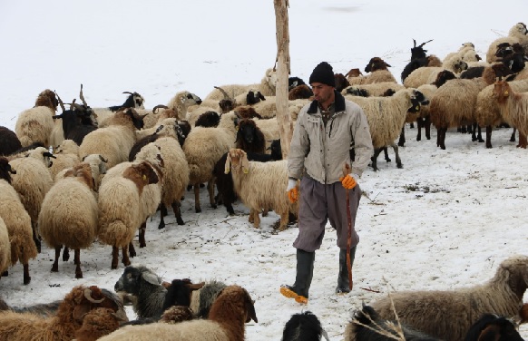 Foto - Yokluktan İran’dan transfer etti! 85 milyon kişi var ama kimse yanaşmıyor