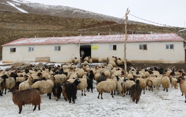 Foto - Yokluktan İran’dan transfer etti! 85 milyon kişi var ama kimse yanaşmıyor