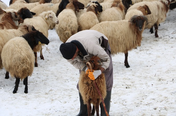 Foto - Yokluktan İran’dan transfer etti! 85 milyon kişi var ama kimse yanaşmıyor