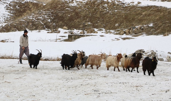 Foto - Yokluktan İran’dan transfer etti! 85 milyon kişi var ama kimse yanaşmıyor