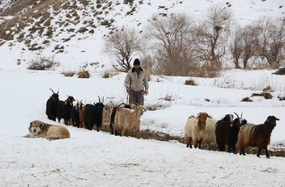 Foto - Yokluktan İran’dan transfer etti! 85 milyon kişi var ama kimse yanaşmıyor