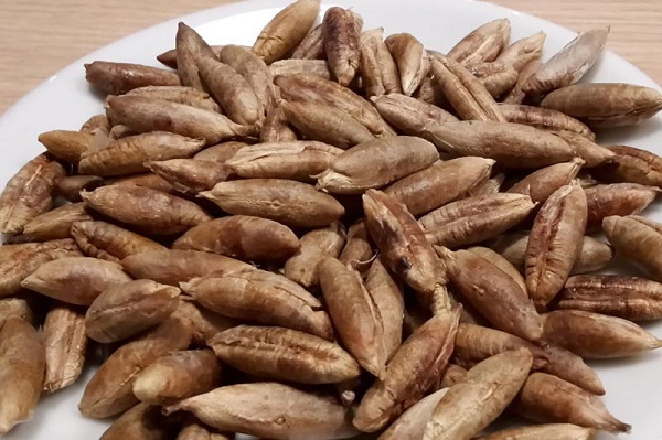 Yoksa siz çöpe mi atıyorsunuz! Tam bir kalp dostu