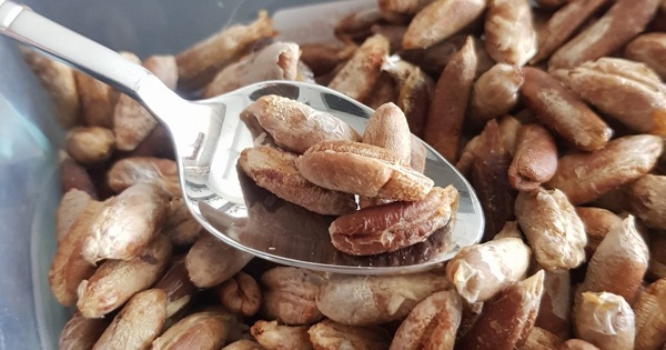 Foto - Yoksa siz çöpe mi atıyorsunuz! Tam bir kalp dostu