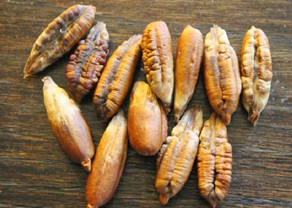 Foto - Yoksa siz çöpe mi atıyorsunuz! Tam bir kalp dostu