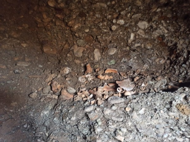 Foto - Yol çalışmasında bulundu! Tam 1600 yıllık