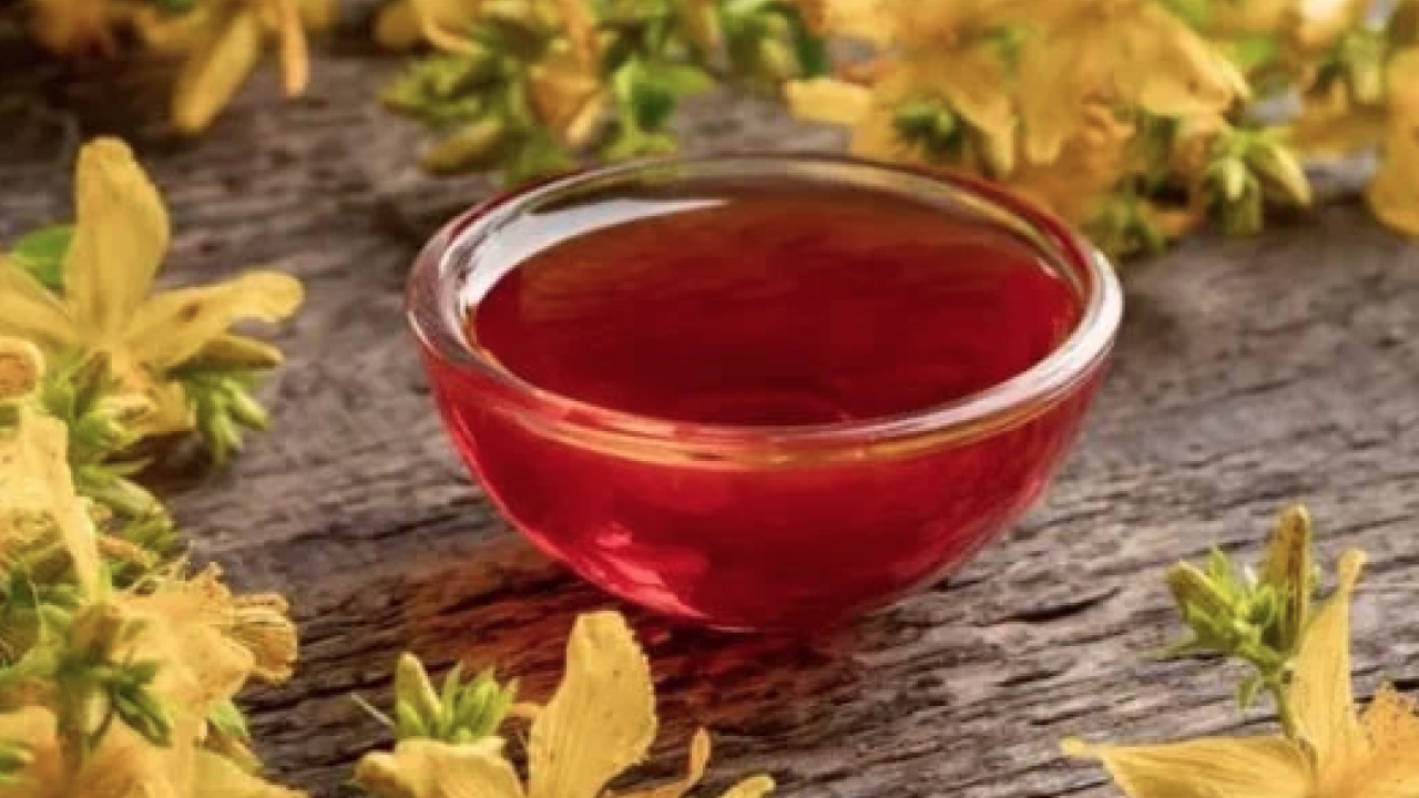 Yol kenarında açıyor ve şifa saçıyor! Avrupa’nın en çok araştırdığı bitki oldu...