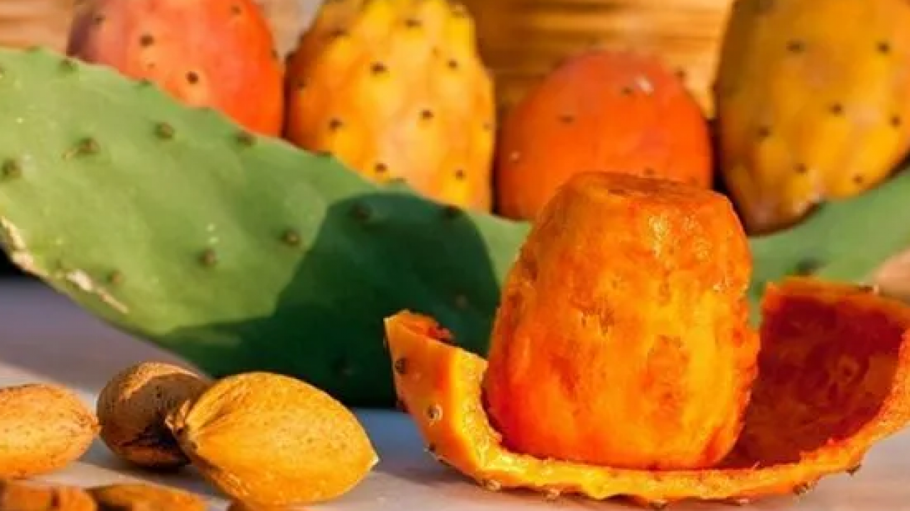 Foto - Yol kenarında kendiliğinden yetişiyordu! Enerji deposu: O ürün, artık o ilimizin markası olacak belli oldu! 