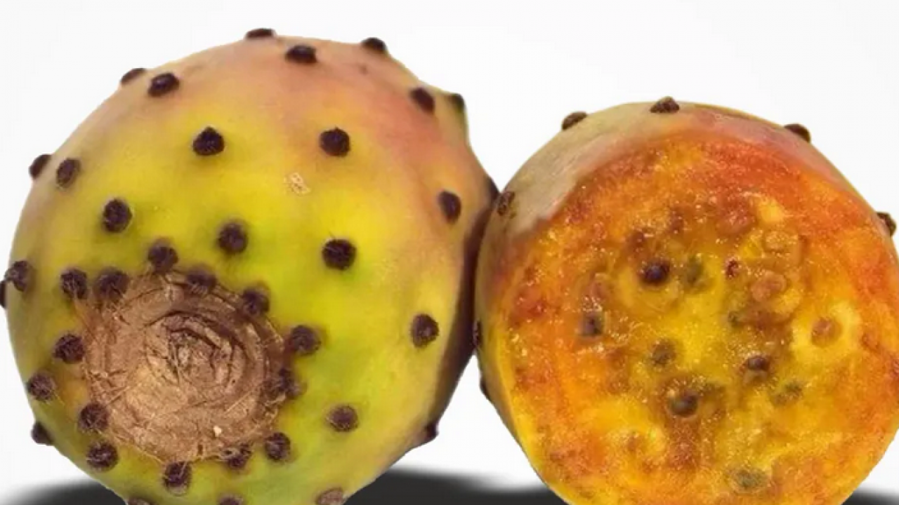 Foto - Yol kenarında kendiliğinden yetişiyordu! Enerji deposu: O ürün, artık o ilimizin markası olacak belli oldu! 