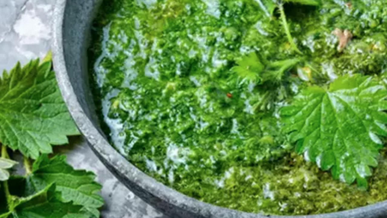 Yol kenarında yetişiyor! Doğadan gelen bedava böbrek taşı döken bitki: Yemeğini yapıp kaşık kaşık yiyin