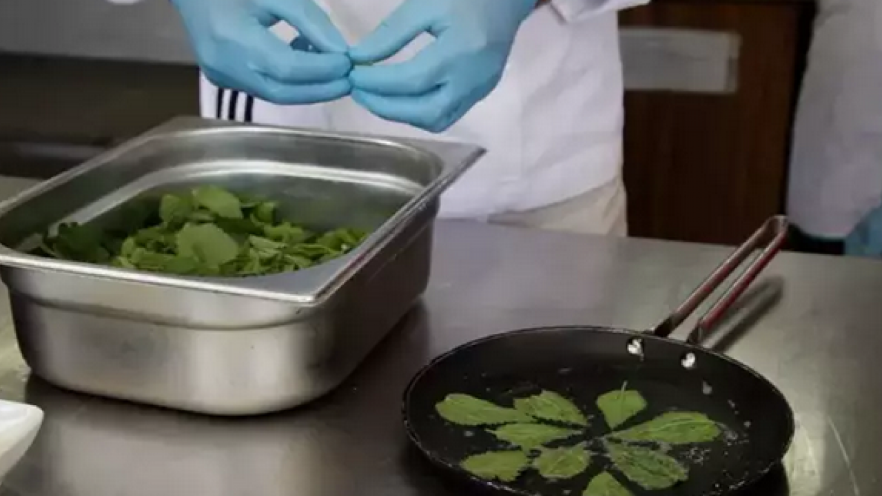 Foto - Yol kenarında yetişiyor! Doğadan gelen bedava böbrek taşı döken bitki: Yemeğini yapıp kaşık kaşık yiyin