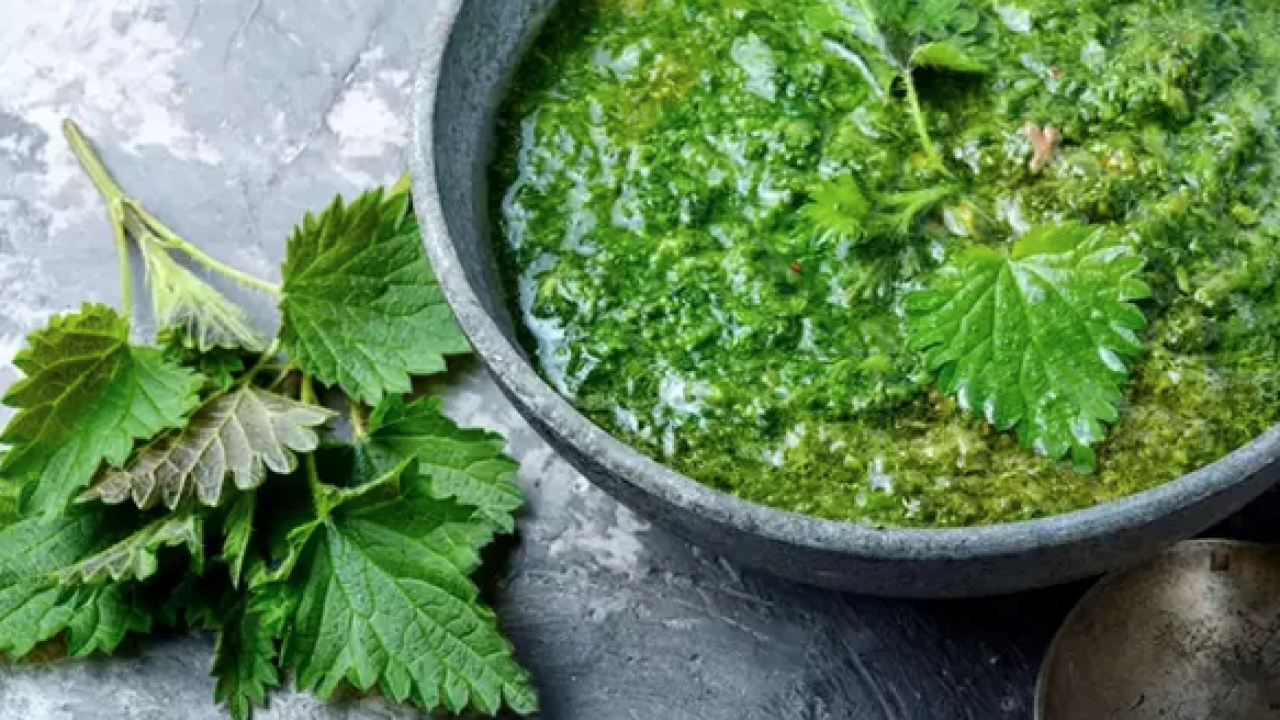 Foto - Yol kenarında yetişiyor! Doğadan gelen bedava böbrek taşı döken bitki: Yemeğini yapıp kaşık kaşık yiyin