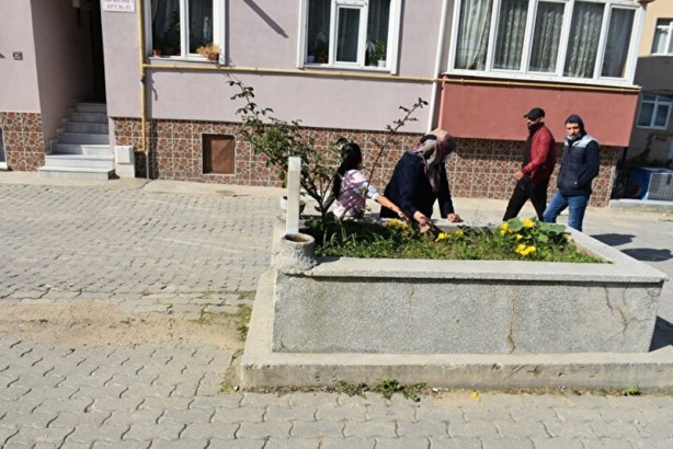 Foto - Yol ortasında 'sır mezar' şaşırtıyor