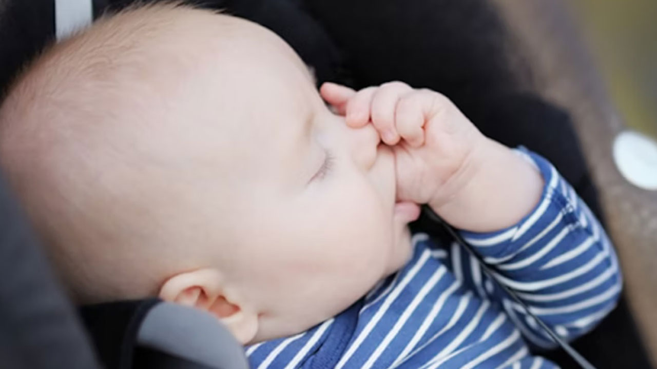 Yola çıkmadan bunu okuyun! Araç tutmasına karşı 12 etkili yöntem