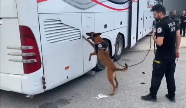 Yolcu otobüsünde 76 kilogram uyuşturucu!