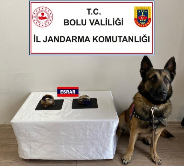 Foto - Yolcu otobüsünde bulundu! Cips kutusundan çıkan şoke etti