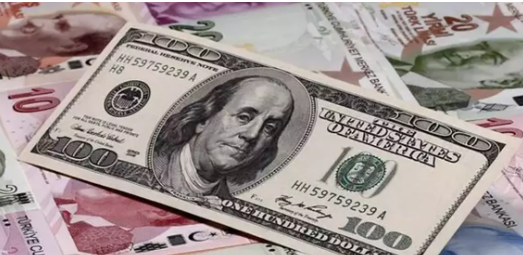 Foto - Yolda çevirip çevirip 'Dolar kuru patlar mı?' sorusu sorulan ekonomist çıldırdı: Bize inanmadılar