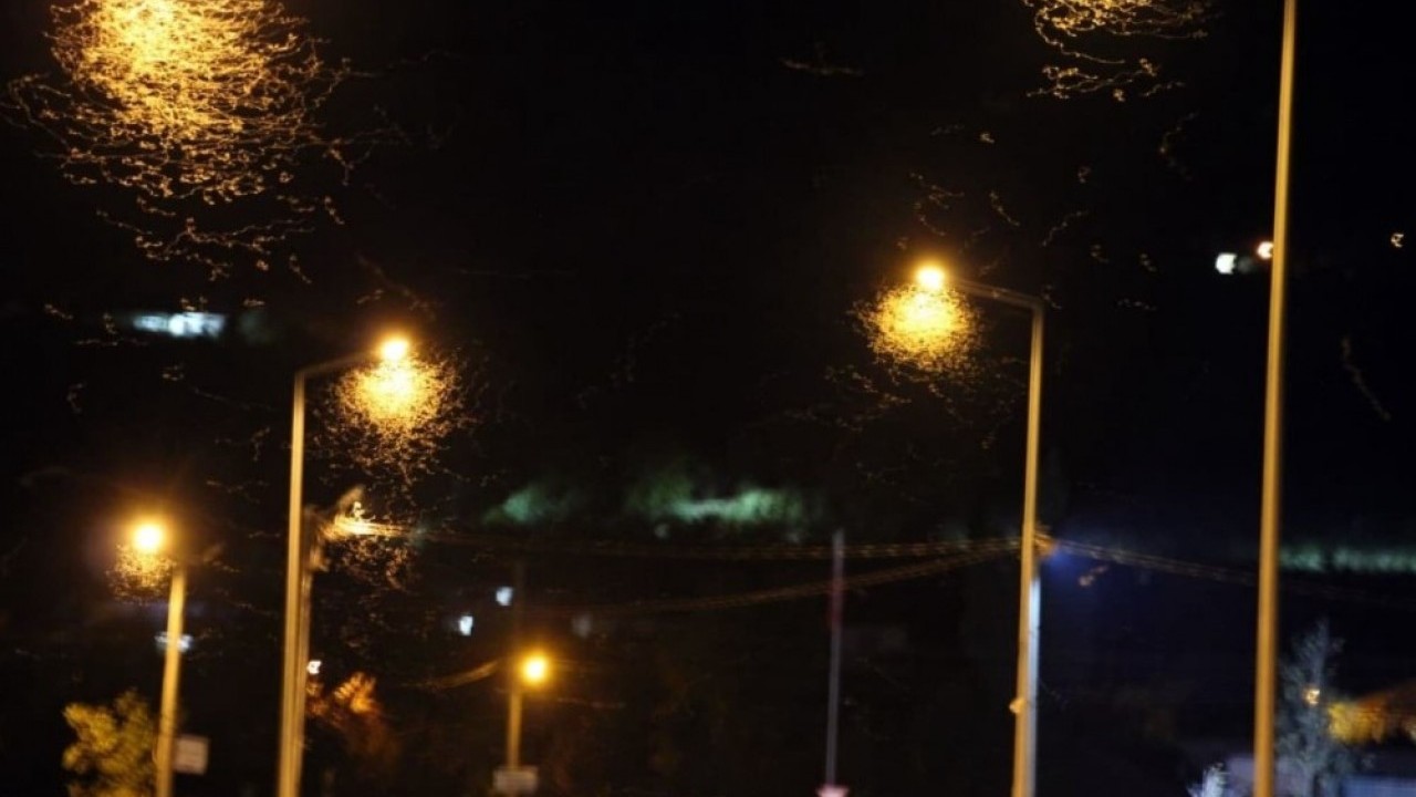 Foto - Yollar beyaza büründü: Birgün sineklerinin ölüm dansı