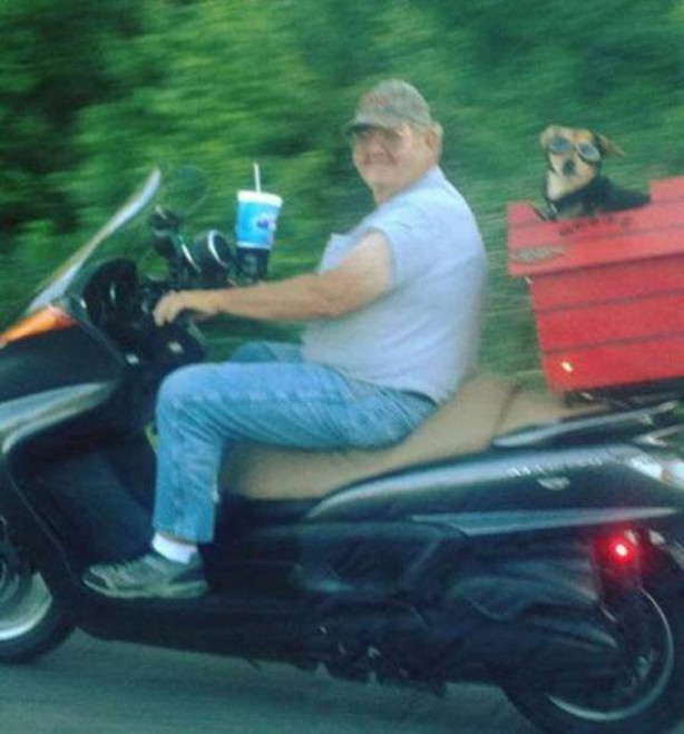 Foto - Yollardan tuhaf görüntüler