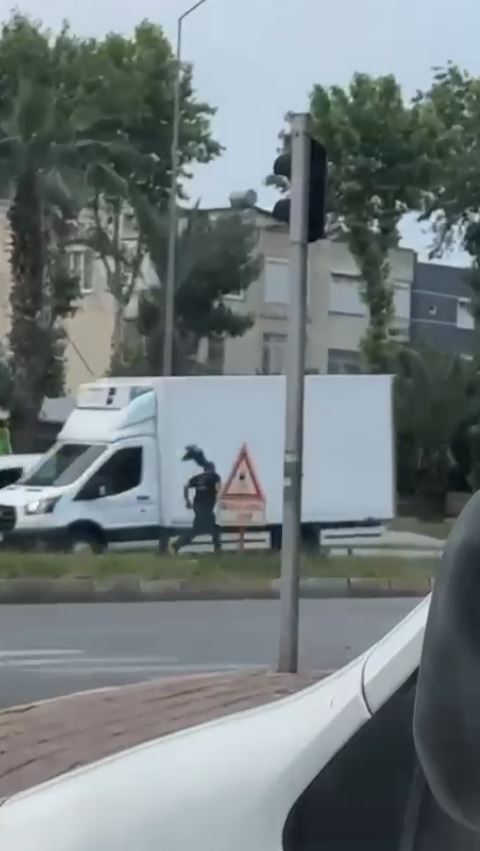 Foto - Yolun karşısına geçmek isteyenlerin karga ile imtihanı